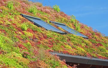 Wick Rocks living roof systems